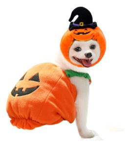 Disfraz De Perro Calabaza Tallas M Y L Halloween - Imagen 6