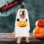 Disfraz Perro Fantasma Raza Mediana Grande Halloween - Imagen 7