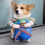 Disfraz Chucky Con Tijeras Halloween Perro Pequeño - Imagen 10