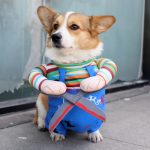 Disfraz Chucky Con Tijeras Halloween Perro Grande - Imagen 8