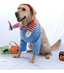 Disfraz Chucky Perro Raza Grande Mediano Halloween - Imagen 6