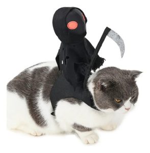 Disfraz De Jinete De La Muerte Para Perro Halloween - Imagen 6