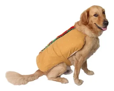 Disfraz Perro Halloween Hotdog Cosplay Gato - Imagen 2