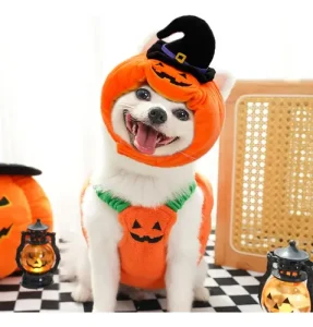 Disfraz De Perro Calabaza Tallas M Y L Halloween - Imagen 8
