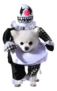 Disfraz Payaso Halloween Perro Pequeña Mediana - Imagen 6