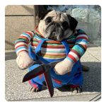 Disfraz Chucky Con Tijeras Halloween Perro Pequeño - Imagen 8