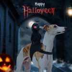 Disfraz De Jinete De La Muerte Para Perro Halloween - Imagen 8