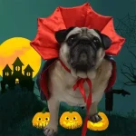 Disfraz Perro Drácula Capa Vampiro Halloween - Imagen 9