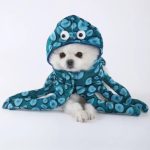 Disfraz Para Perro Pulpo Calamar Halloween - Imagen 10