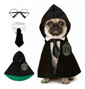 Disfraz Completo De Harry Potter Gatos Y Perros - Imagen 5