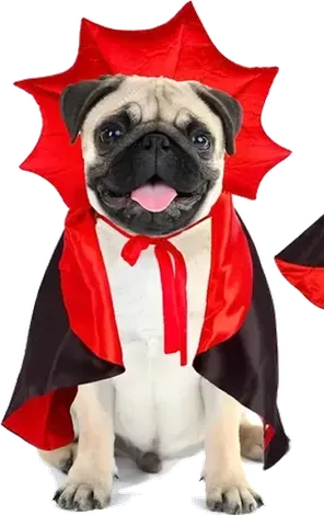 Disfraz de Dr&aacute;cula para perro