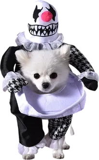 Disfraz de payaso para perro