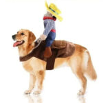 Disfraz C/jinete Perro Raza Grande Mediana Vaquero Halloween