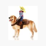 Disfraz C/jinete Perro Raza Grande Mediana Vaquero Halloween