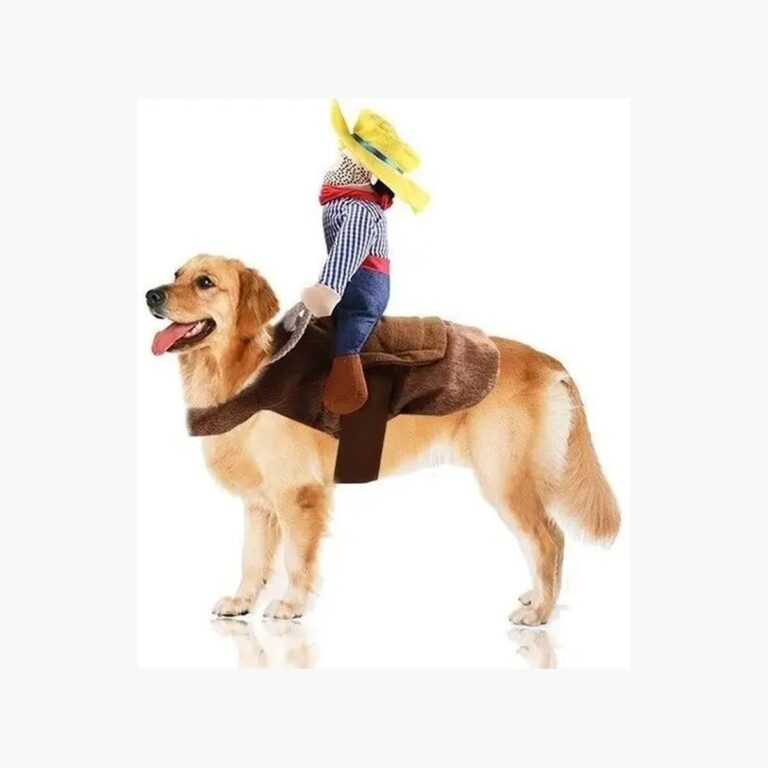 Disfraz c jinete perro raza grande mediana vaquero halloween portada