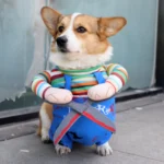 Disfraz Chucky Con Tijeras Halloween Perro Pequeño