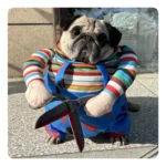 Disfraz Chucky Con Tijeras Halloween Perro Pequeño