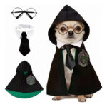 Disfraz Completo De Harry Potter Gatos Y Perros