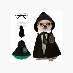 Disfraz Completo De Harry Potter Gatos Y Perros