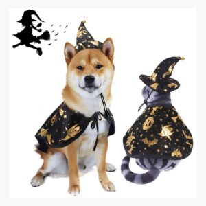 Disfraz De Brujo Mago Para Perro Capa Y Gorro