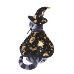 Disfraz De Brujo Mago Para Perro Capa Y Gorro