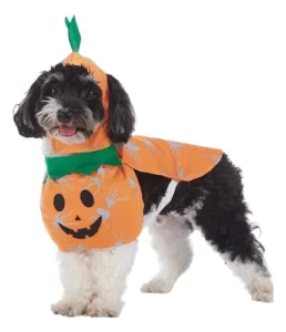 Disfraz De Calabaza Halloween Perro Pequeño Mediano Pumpkin