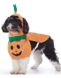 Disfraz De Calabaza Halloween Perro Pequeño Mediano Pumpkin