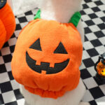 Disfraz De Calabaza Halloween Perro Pequeño Mediano Pumpkin