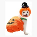 Disfraz De Calabaza Halloween Perro Pequeño Mediano Pumpkin