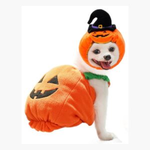 Disfraz De Calabaza Halloween Perro Pequeño Mediano Pumpkin