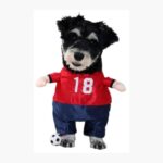 Disfraz De Futbolista Para Perro Halloween Camiseta Roja