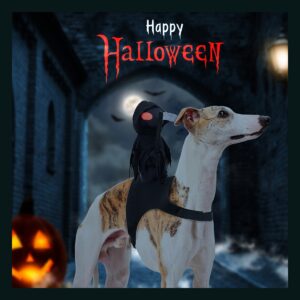 Disfraz De Jinete De La Muerte Para Perro Halloween