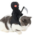 Disfraz De Jinete De La Muerte Para Perro Halloween
