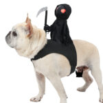 Disfraz De Jinete De La Muerte Para Perro Halloween
