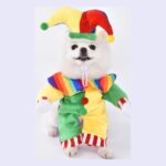 Disfraz De Payaso Colorido Para Perro Y Gato Halloween