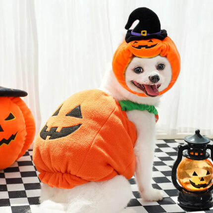Disfraz De Perro Calabaza Tallas Xs Y S Halloween Fiestas
