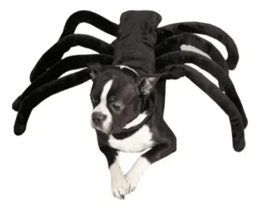 Disfraz De Tarantula Negra Gigante Para Perro Halloween