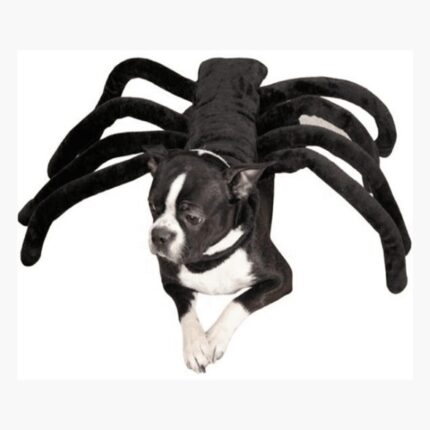 Disfraz de tarantula negra gigante para perro halloween portada