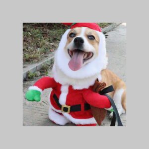 Disfraz De Viejo Pascuero Para Perro Navidad