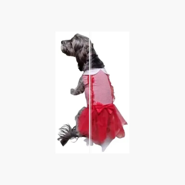 Disfraz gotico perro raza mediana halloween rojo o negro portada