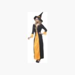 Disfraz Mujer De Bruja Hechicera Halloween