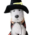 Disfraz Para Perro O Gato Bruja/hechicero/brujo Halloween