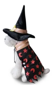 Disfraz Para Perro O Gato Bruja/hechicero/brujo Halloween