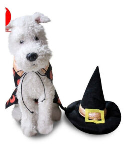 Disfraz Para Perro O Gato Bruja/hechicero/brujo Halloween