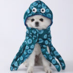 Disfraz Para Perro Pulpo Calamar Halloween