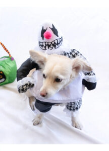 Disfraz Payaso Halloween Perro Pequeña Mediana