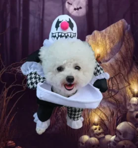 Disfraz Payaso Halloween Perro Pequeña Mediana