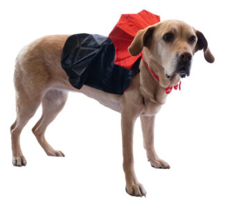 Disfraz Perro Drácula Capa Vampiro Halloween