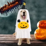 Disfraz Perro Fantasma Raza Mediana Pequeña Halloween