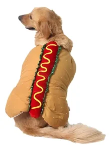 Disfraz Perro Halloween Hotdog Cosplay Gato